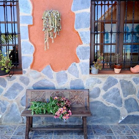 Finquita La Villa Icod De Los Vinos Zewnętrze zdjęcie